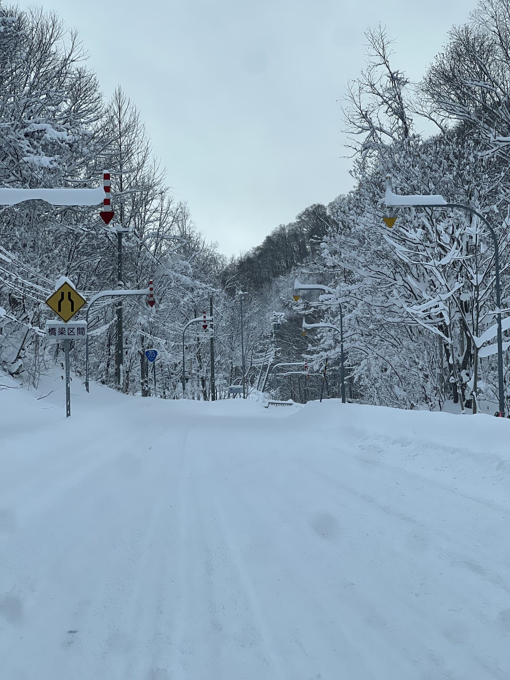 Snow-covered road through a Hokkaido forest